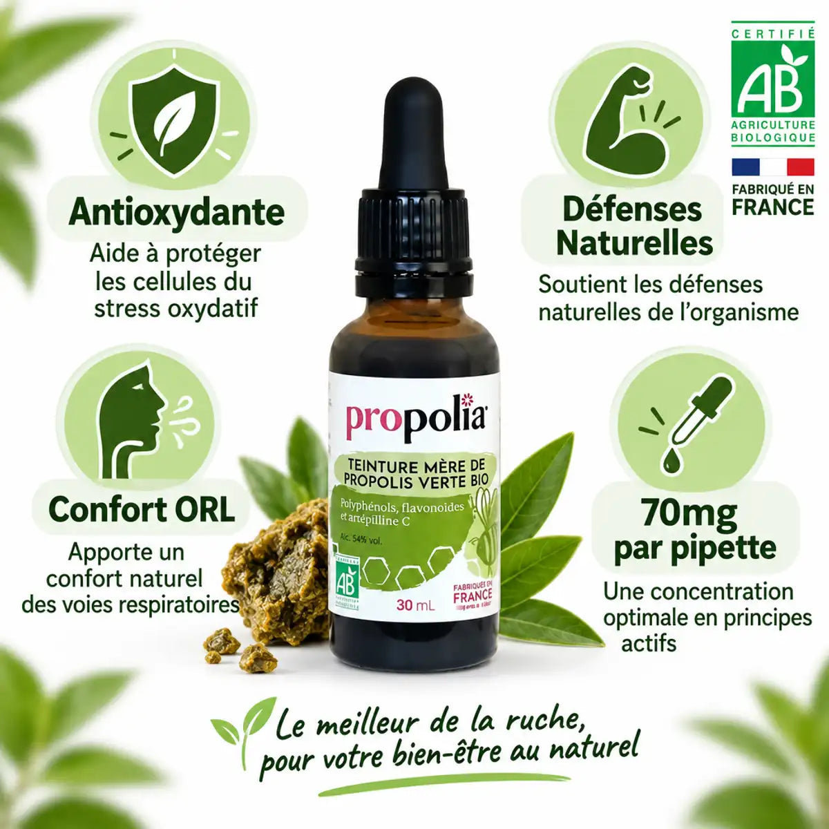 Teinture mère propolis verte bio Propolia avec bénéfices antioxydants et défenses naturelles