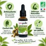 Teinture mère propolis verte bio Propolia avec bénéfices antioxydants et défenses naturelles