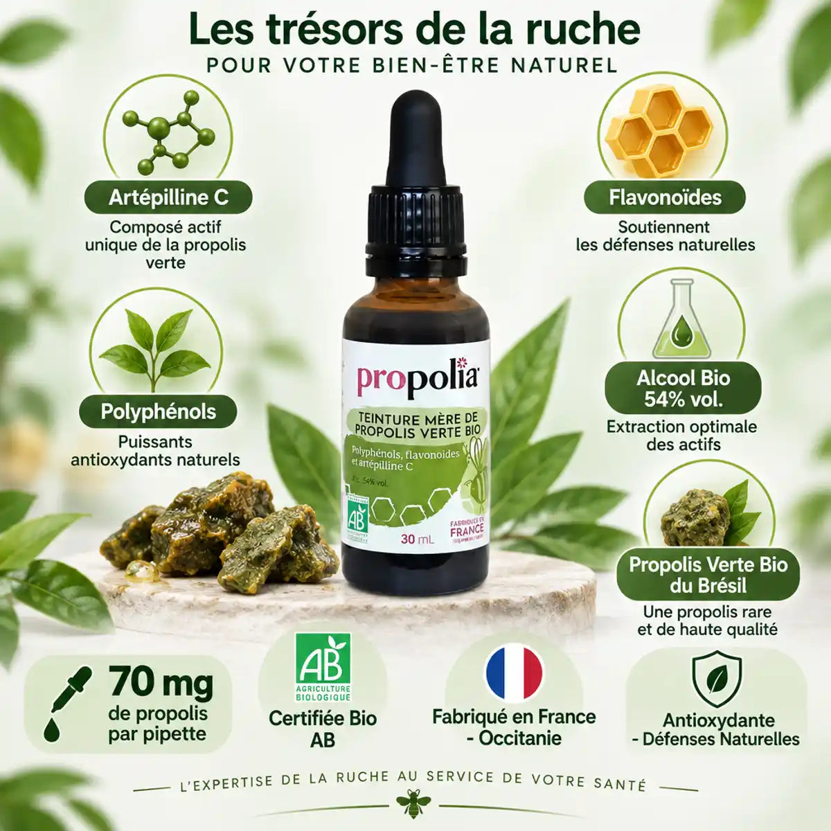 Propolia teinture mère propolis verte bio - flacon verre avec ingrédients actifs et certifications