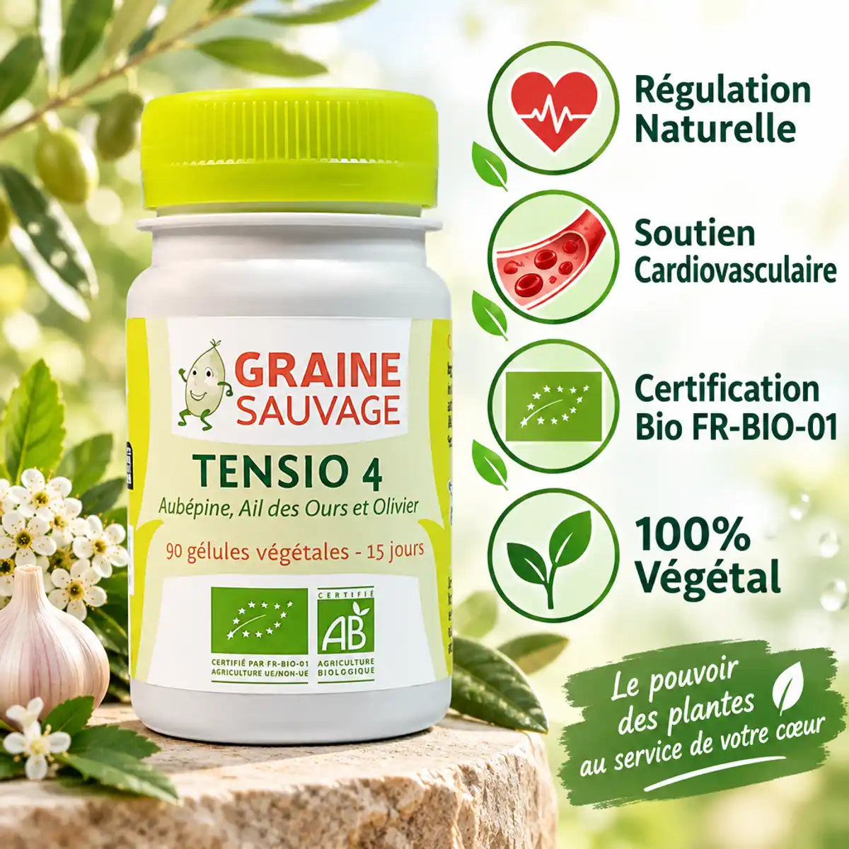 Tensio 4 complément tension artérielle 90 gélules bio avec icônes bénéfices santé cardiovasculaire