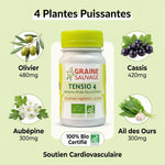 Tensio 4 Graine Sauvage 90 gélules - Complément tension artérielle avec olivier, cassis, aubépine et ail des ours bio certifié