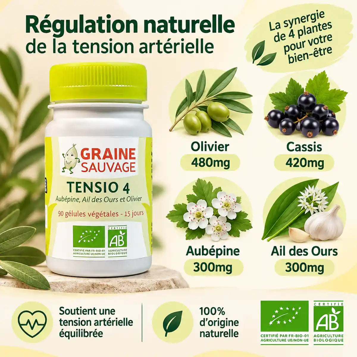 Tensio 4 supplément tension artérielle 90 gélules avec olivier, cassis, aubépine et ail des ours bio