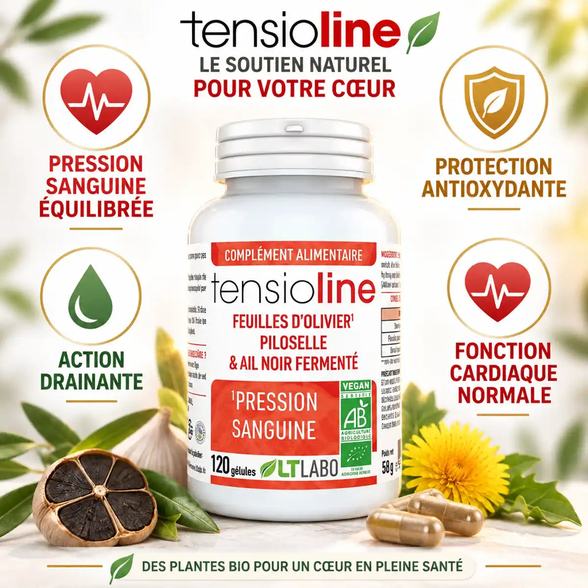 Tensioline Bio 120 gélules - Supplément pression sanguine avec icônes bénéfices santé cardiaque
