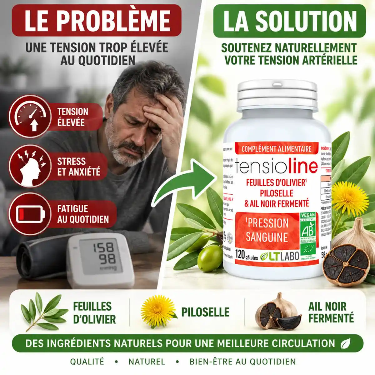 Tensioline Bio 120 gélules - Solution naturelle pour réguler la pression sanguine avec olivier et ail noir