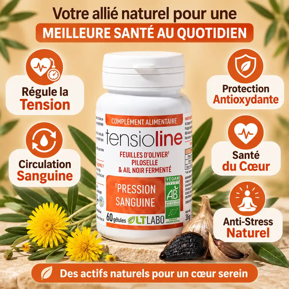 Tensioline Bio 60 gélules LT Labo avec bénéfices circulation sanguine et régulation tension