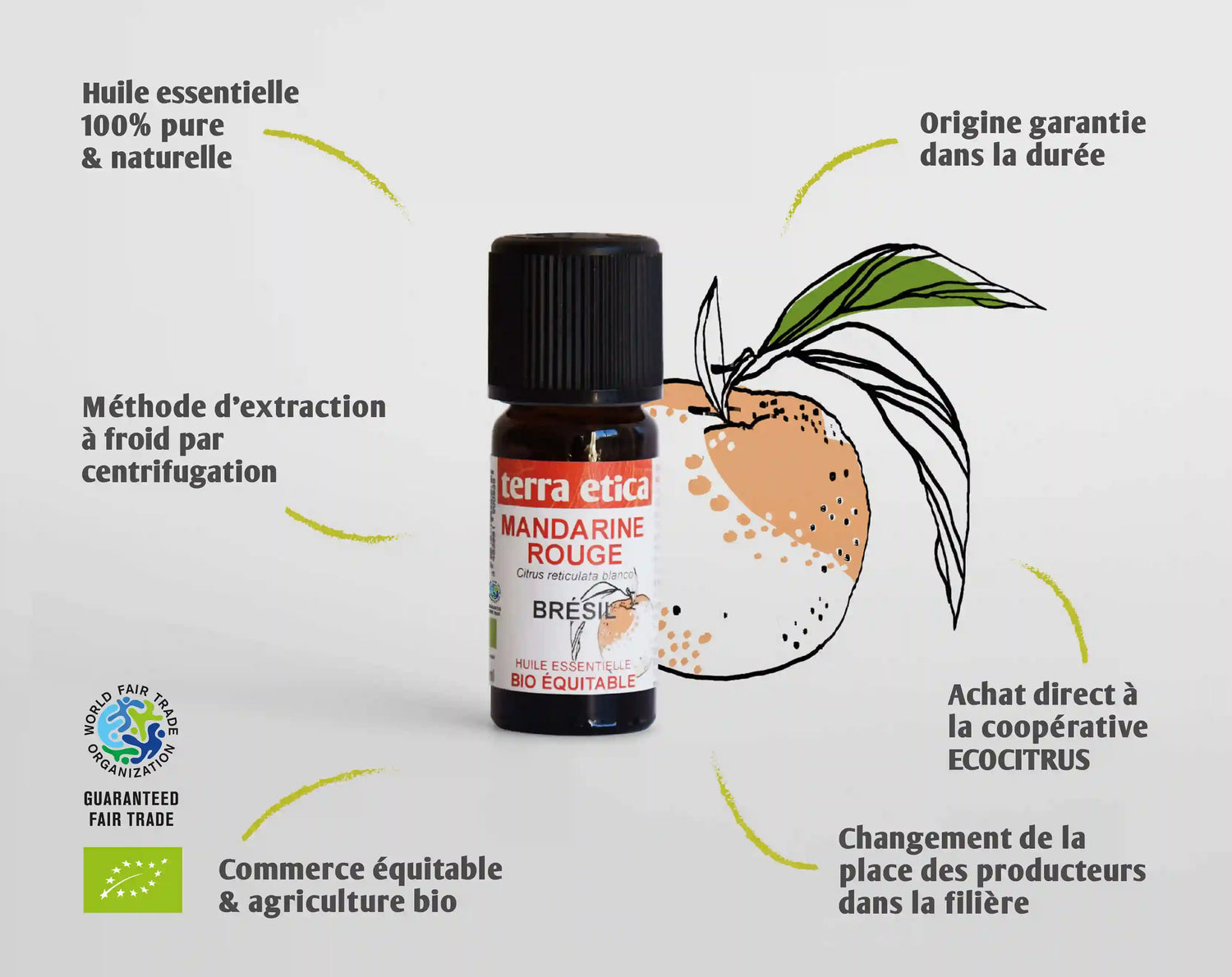 Les caractéristiques et bienfaits de l'Huile essentielle de Mandarine rouge bio Terra Etica