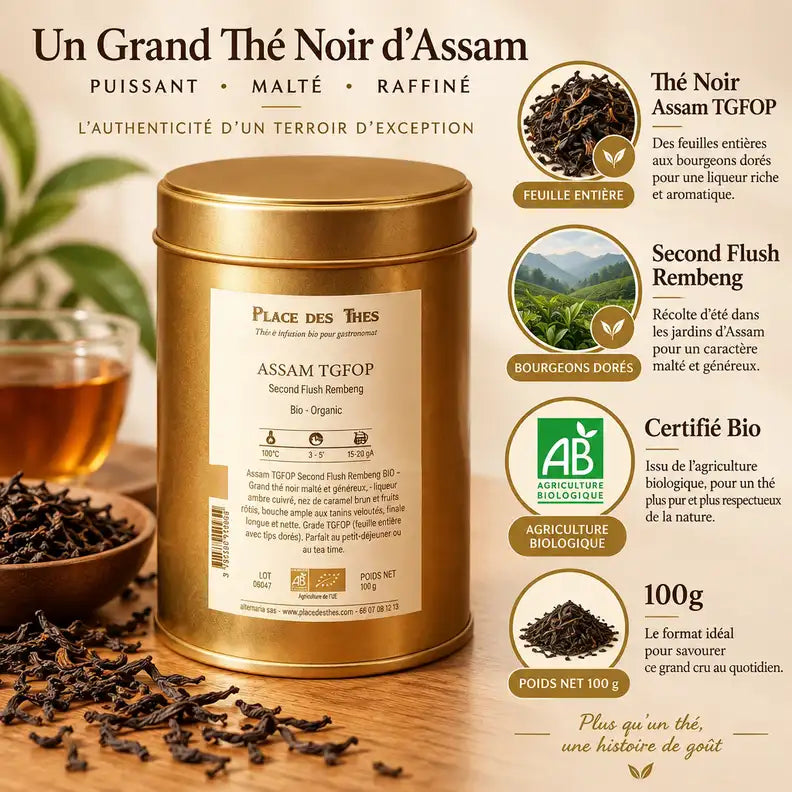 Thé noir Assam TGFOP Second Flush Rembeng Bio 100g en boîte dorée avec feuilles de thé