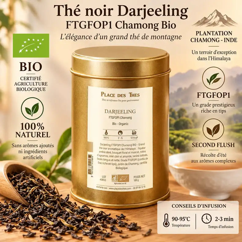 Thé noir Darjeeling FTGFOP1 Chamong Bio 100g en boîte dorée avec feuilles de thé