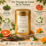 Thé vert Jardin Oriental Bio 100g Place des Thés avec ingrédients jasmin, séncha, orange sanguine