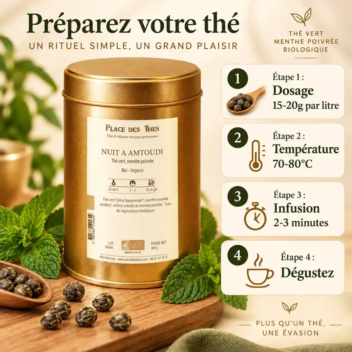 Thé vert Nuit à Amtoudi Bio - boîte dorée avec guide d'infusion et feuilles de menthe frais