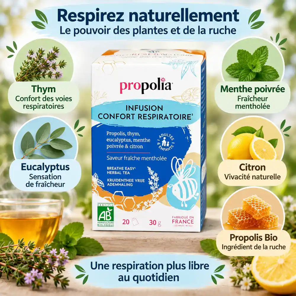 Tisane respiratoire bio Propolia thym eucalyptus propolis avec infographie bénéfices santé naturels
