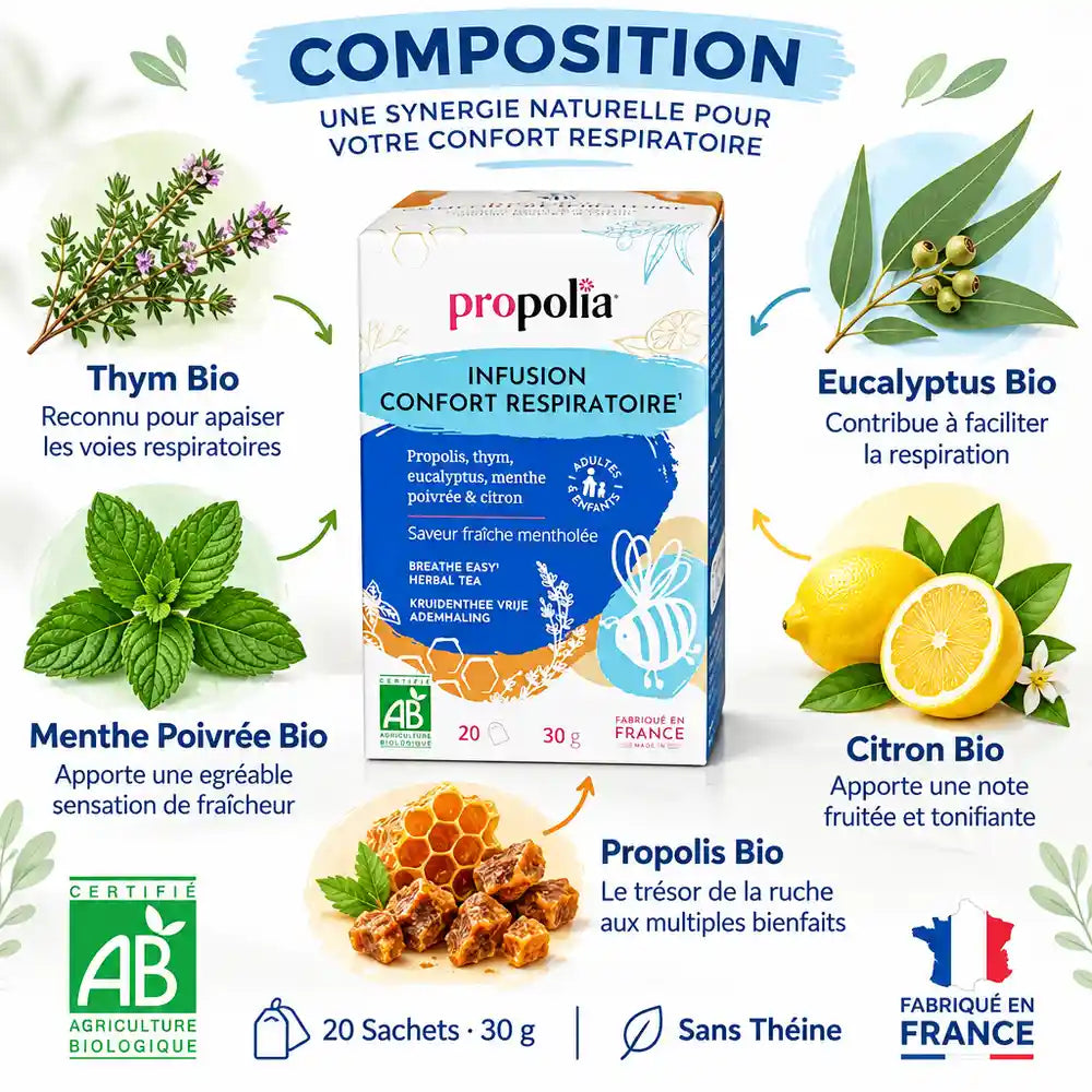 Tisane Respiration Bio Propolia - Thym, Eucalyptus, Propolis et Menthe - Boîte 20 sachets