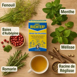 Tisane Richter Circulation 20 sachets avec ingrédients naturels : fenouil, menthe, aubépine, mélisse, romarin et réglisse