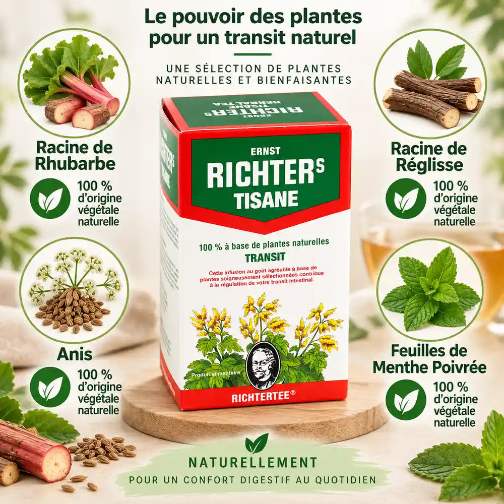 Tisane Richter's Transit 20 sachets minceur avec ingrédients naturels : rhubarbe, réglisse, anis et menthe