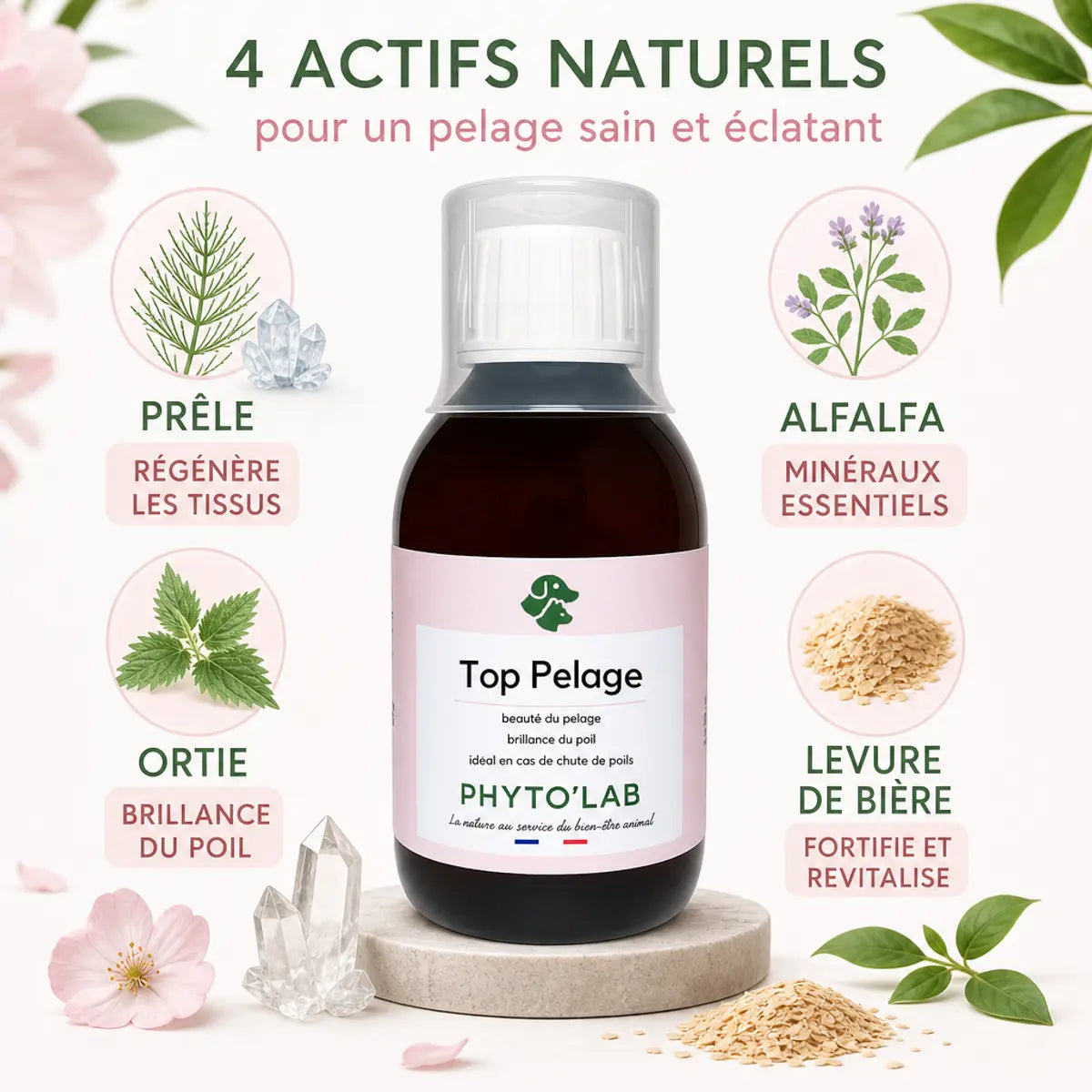 Top Pelage flacon brillance poil chien chat avec ingrédients naturels prêle alfalfa minéraux