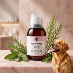 Top Pelage 250ml Phyto'Lab pour chien et chat, brillance poil naturelle