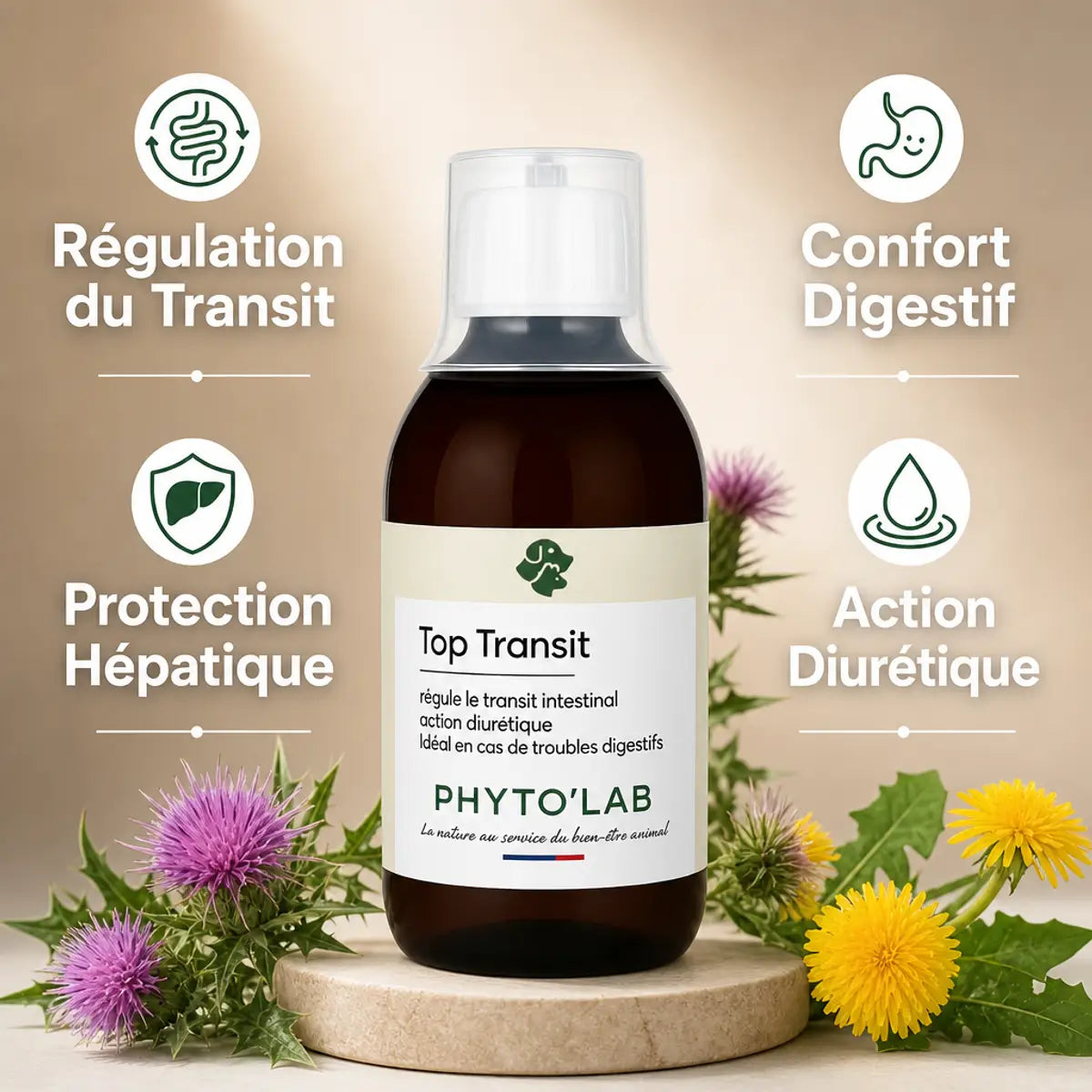 Top Transit 250ml Phyto'Lab - Confort intestinal et régulation du transit digestif