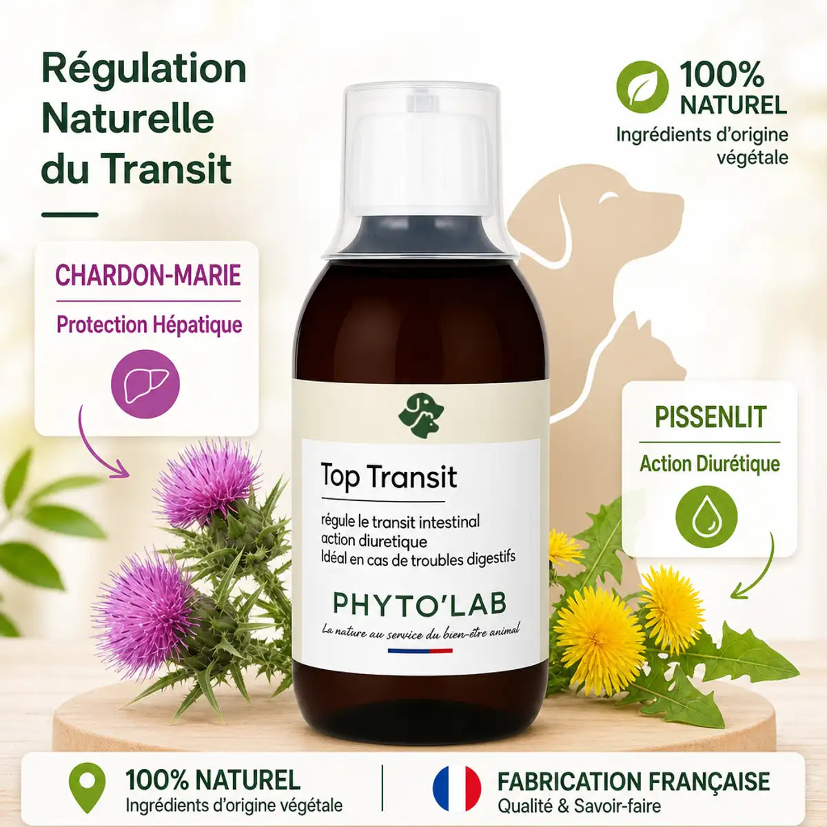 Top Transit 250ml Phyto'Lab complément digestif naturel avec chardon-marie et pissenlit