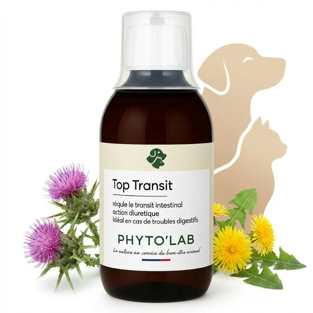 Phyto'Lab Top Transit 250ml flacon confort intestinal avec herbes naturelles