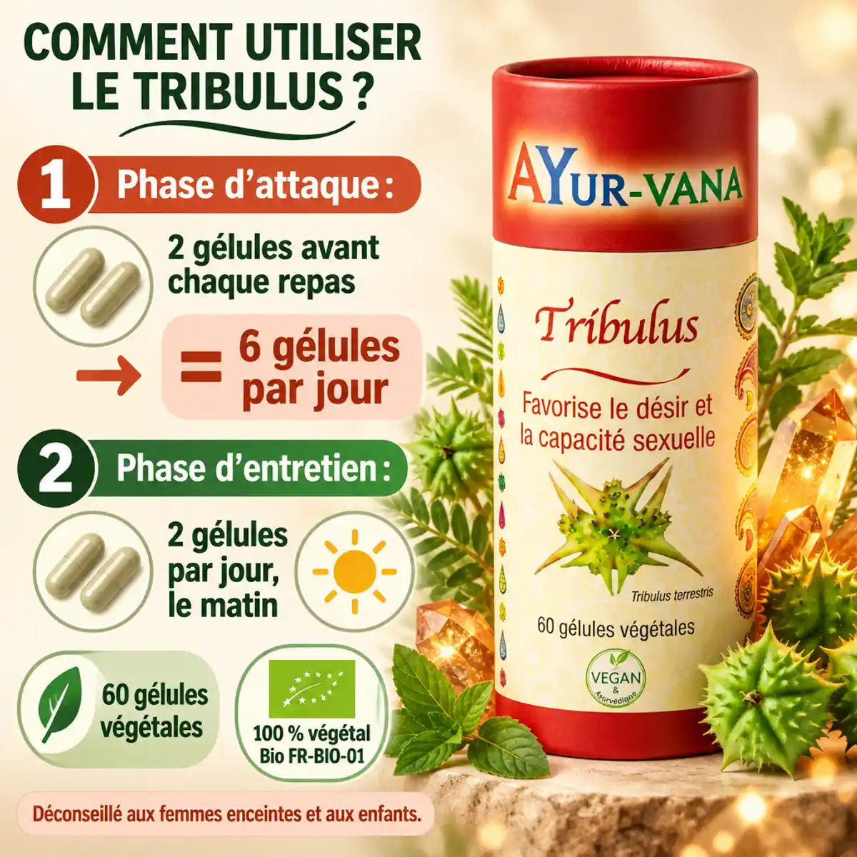 Complément Tribulus Ayur-Vana 60 gélules végétales : emballage rouge et guide de posologie en français