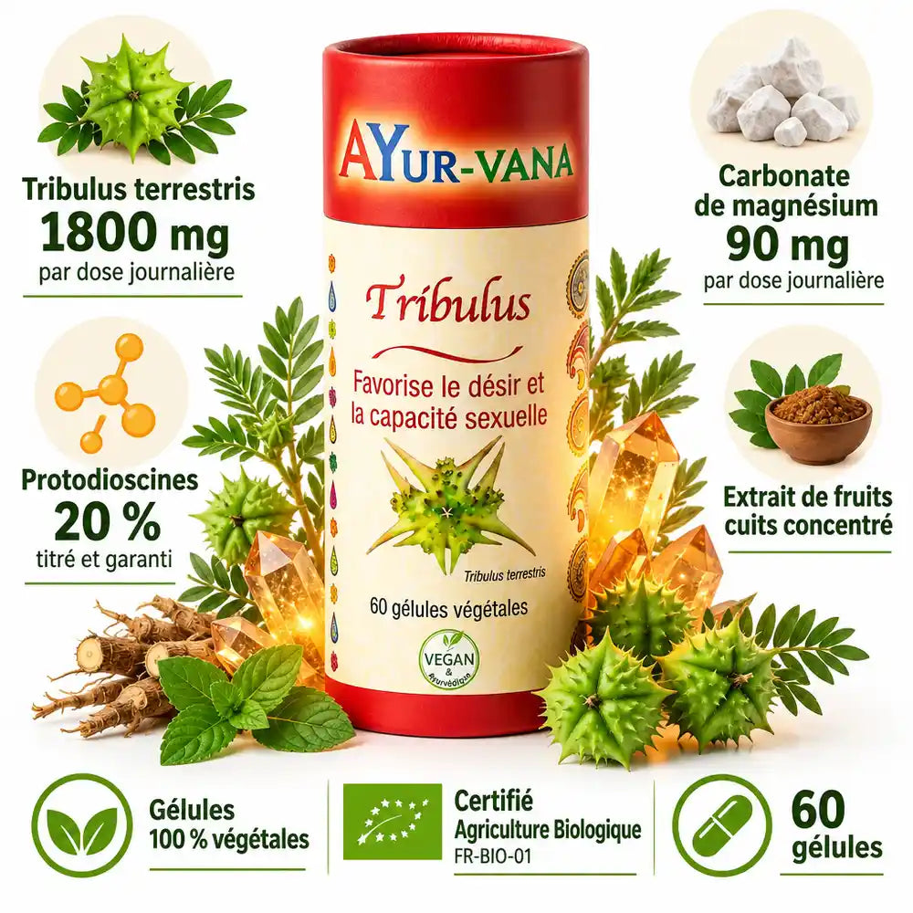 Complément Tribulus Ayur-Vana 60 gélules végétales sur fond blanc, entouré de feuilles et fruits de Tribulus terrestris