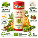 Complément Tribulus Ayur-Vana 60 gélules végétales sur fond blanc, entouré de feuilles et fruits de Tribulus terrestris