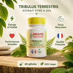 Tribulus terrestris 60 gélules Graine Sauvage avec feuilles botaniques et bénéfices énergétiques