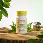 Tribulus Terrestris 60 gélules Graine Sauvage sur surface bois avec feuilles vertes