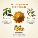 Composition infographique Trikatu AyurVana : poivre noir, poivre long et gingembre, trois épices ayurvédiques premium.