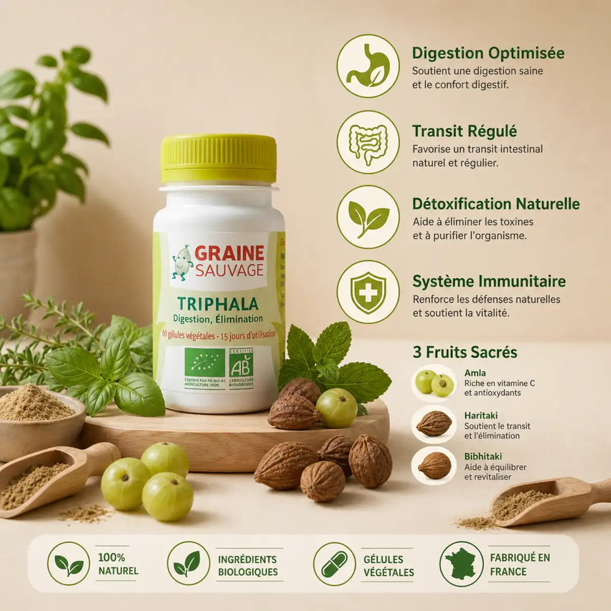 Triphala Bio Graine Sauvage 60 gélules avec bénéfices digestion, transit et détoxification naturelle