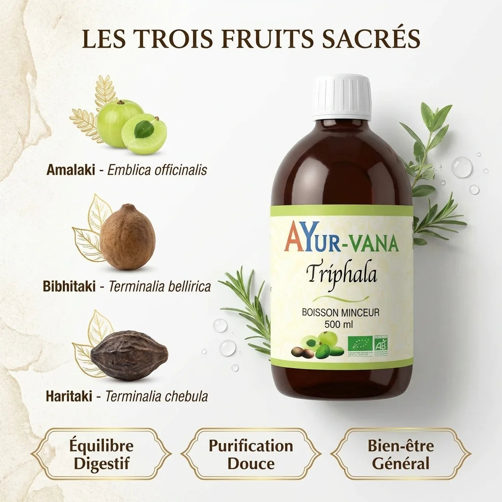 Triphala Boisson Minceur Bio Ayur-Vana 500ml avec les trois fruits sacrés ayurvédiques pour digestion et bien-être