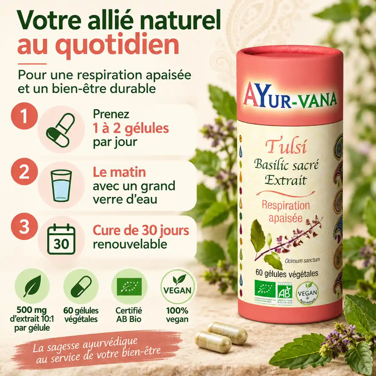 Tulsi Bio AyurVana en gélules : guide de prise avec extrait 10:1, 60 gélules végétales, certifié AB et vegan