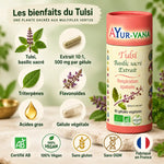 Tulsi Bio AyurVana 60 gélules : extrait 10:1 de basilic sacré, produit certifié AB, fabriqué en France, sur fond sauge

Let me check length: roughly 150 characters, too long. Need ≤125.

Shorter: "Tulsi Bio AyurVana 60 gélules : extrait de basilic sacré 10:1, certifié AB, fabriqué en France" — count: approx 95 characters. Good.