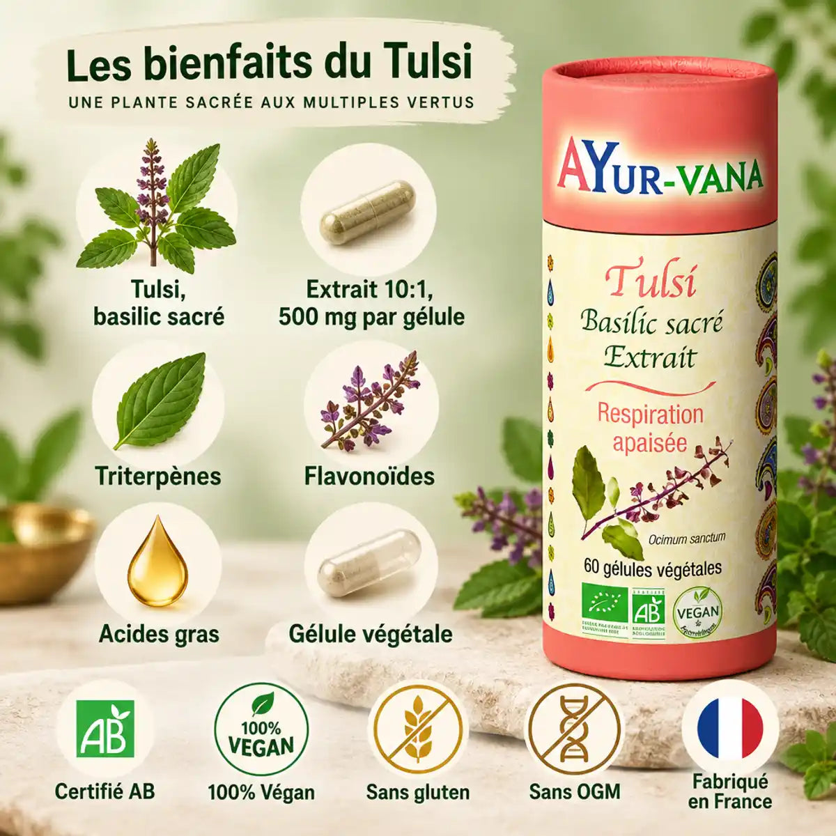 Tulsi Bio AyurVana 60 gélules : extrait 10:1 de basilic sacré, produit certifié AB, fabriqué en France, sur fond sauge

Let me check length: roughly 150 characters, too long. Need ≤125.

Shorter: "Tulsi Bio AyurVana 60 gélules : extrait de basilic sacré 10:1, certifié AB, fabriqué en France" — count: approx 95 characters. Good.