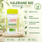 Valériane Bio 60 gélules Graine Sauvage - Sommeil, stress et relaxation naturelle certifiée Bio