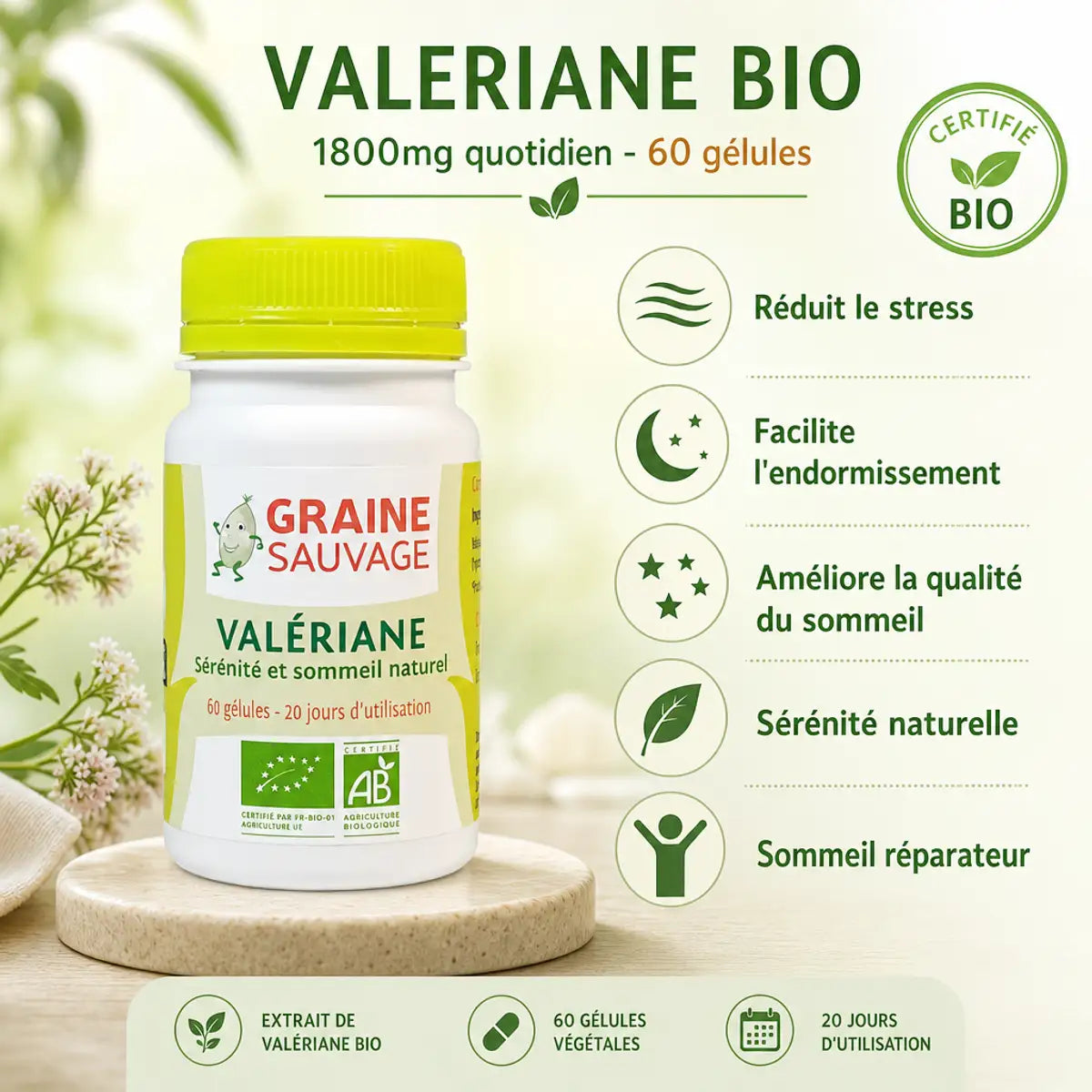 Valériane Bio 60 gélules Graine Sauvage - Sommeil, stress et relaxation naturelle certifiée Bio