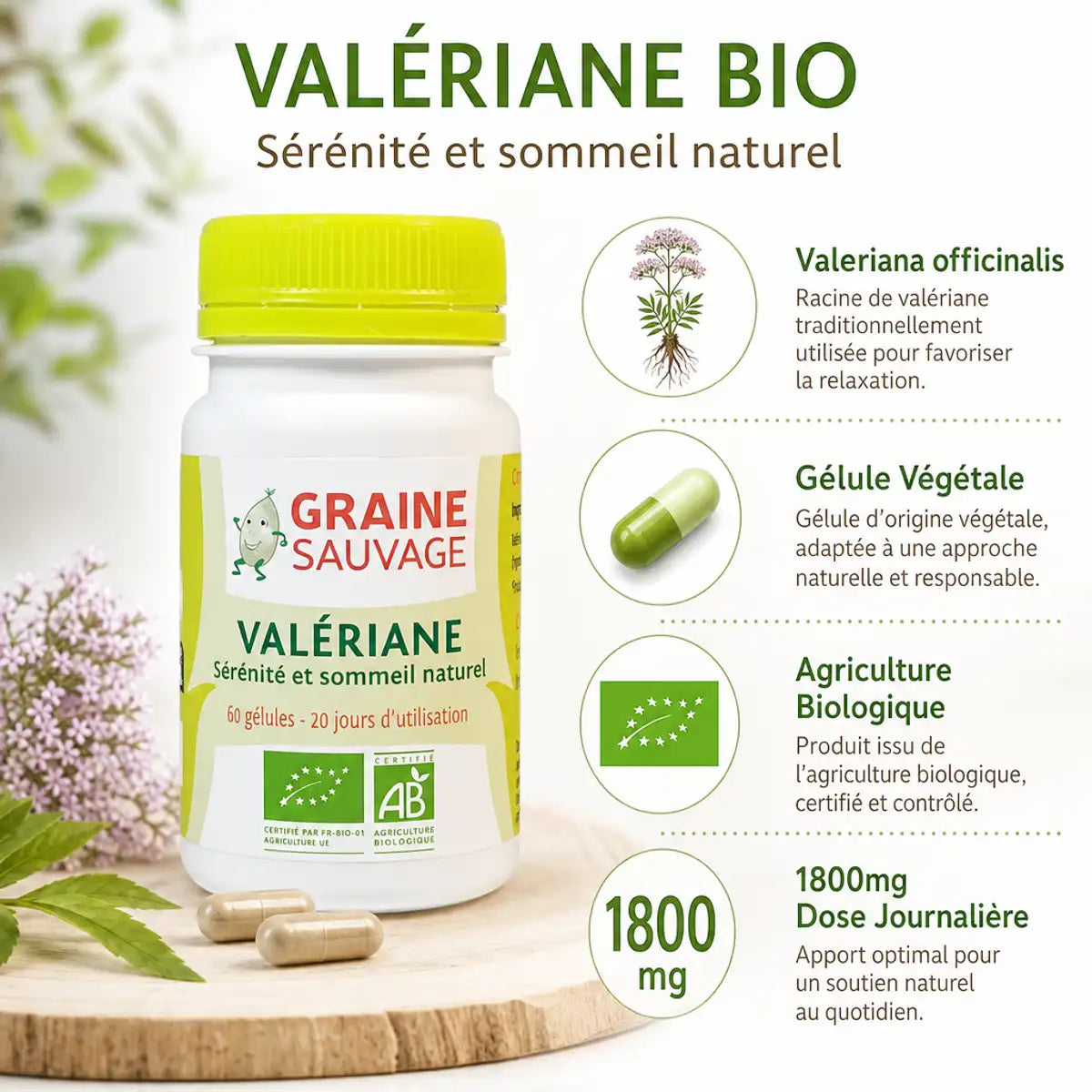 Graine Sauvage Valériane Bio 60 gélules avec infographie des bénéfices sommeil et relaxation