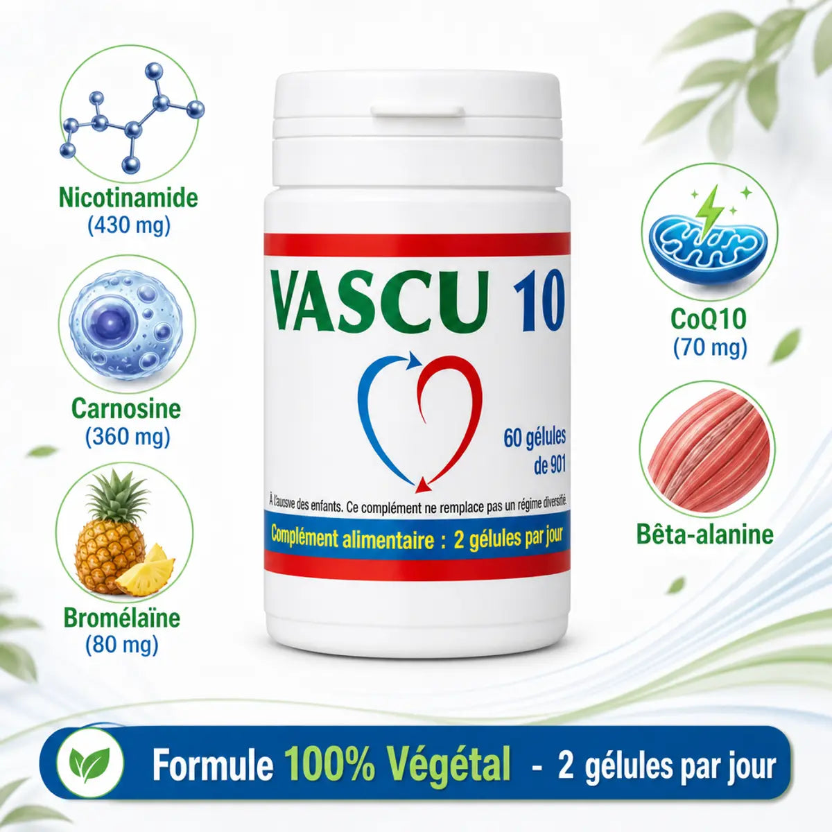 Vascu 10 complément alimentaire avec ingrédients clés nicotinamide carnosine CoQ10 formule végétale