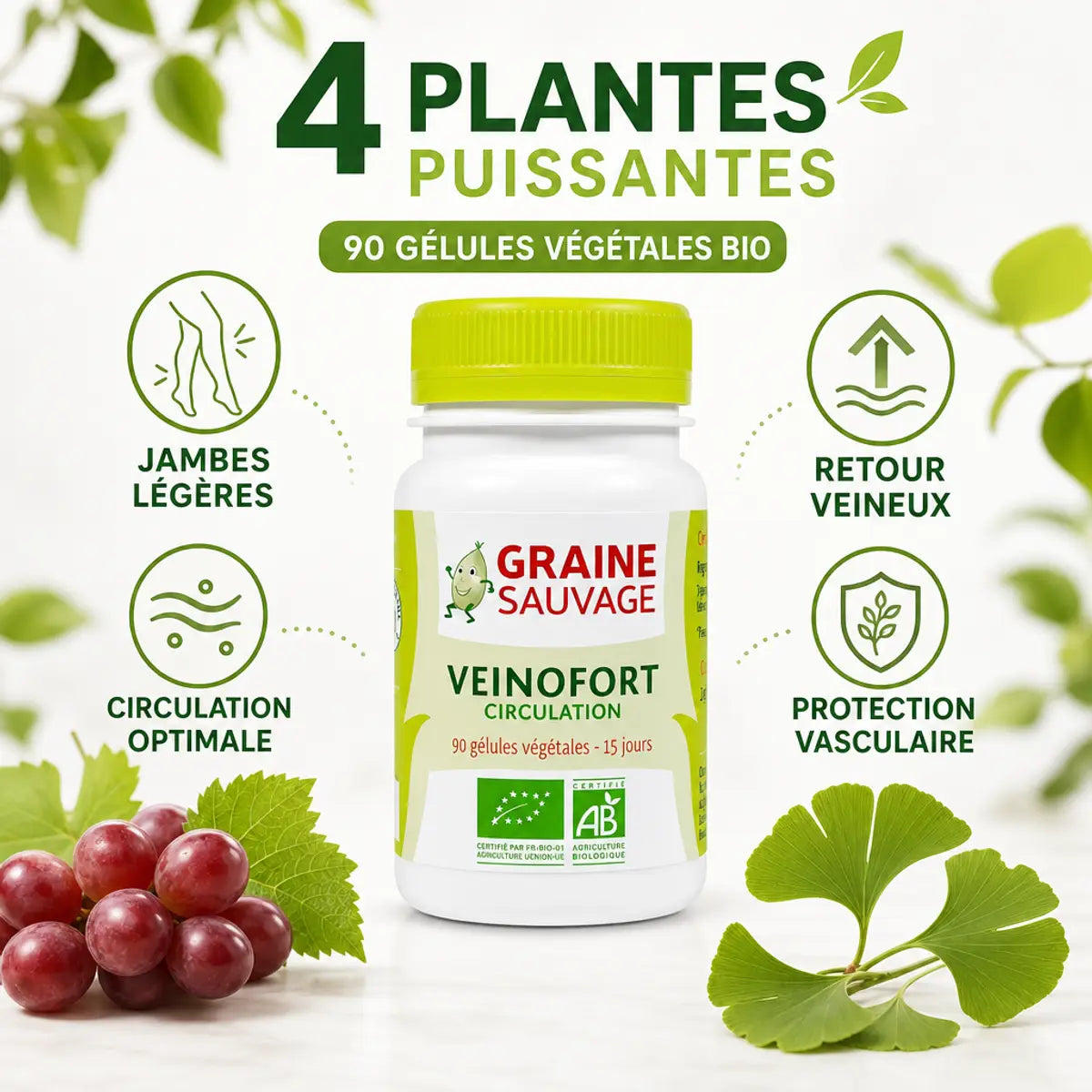 Veinofort Bio 90 gélules avec icônes circulation, jambes légères et plantes pour jambes lourdes