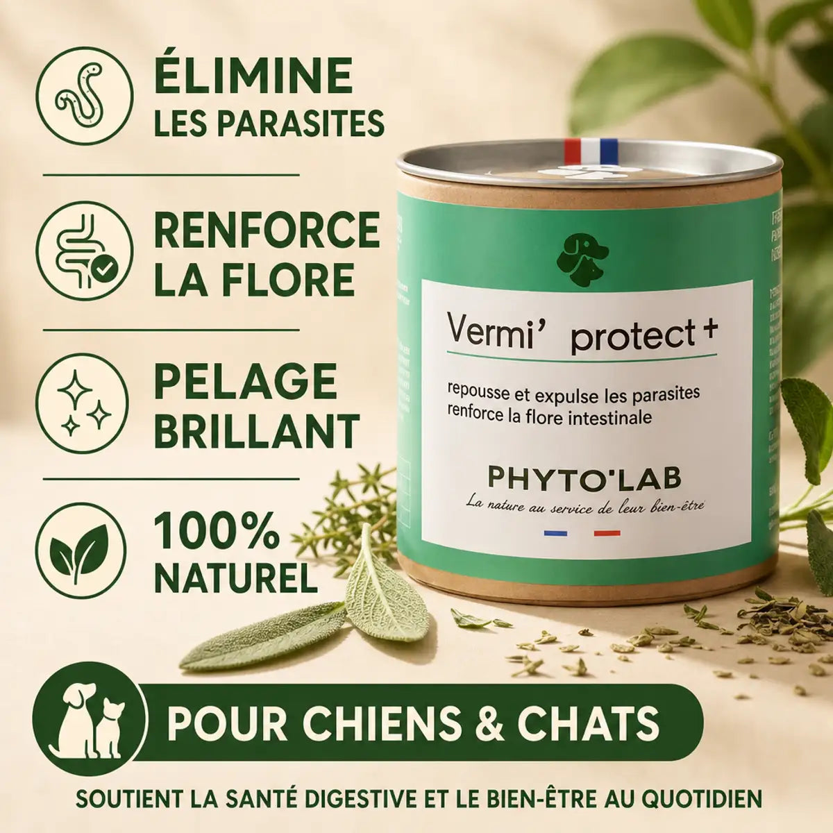 Vermi'Protect vermifuge naturel chien chat 90 gélules avec bénéfices santé affichés