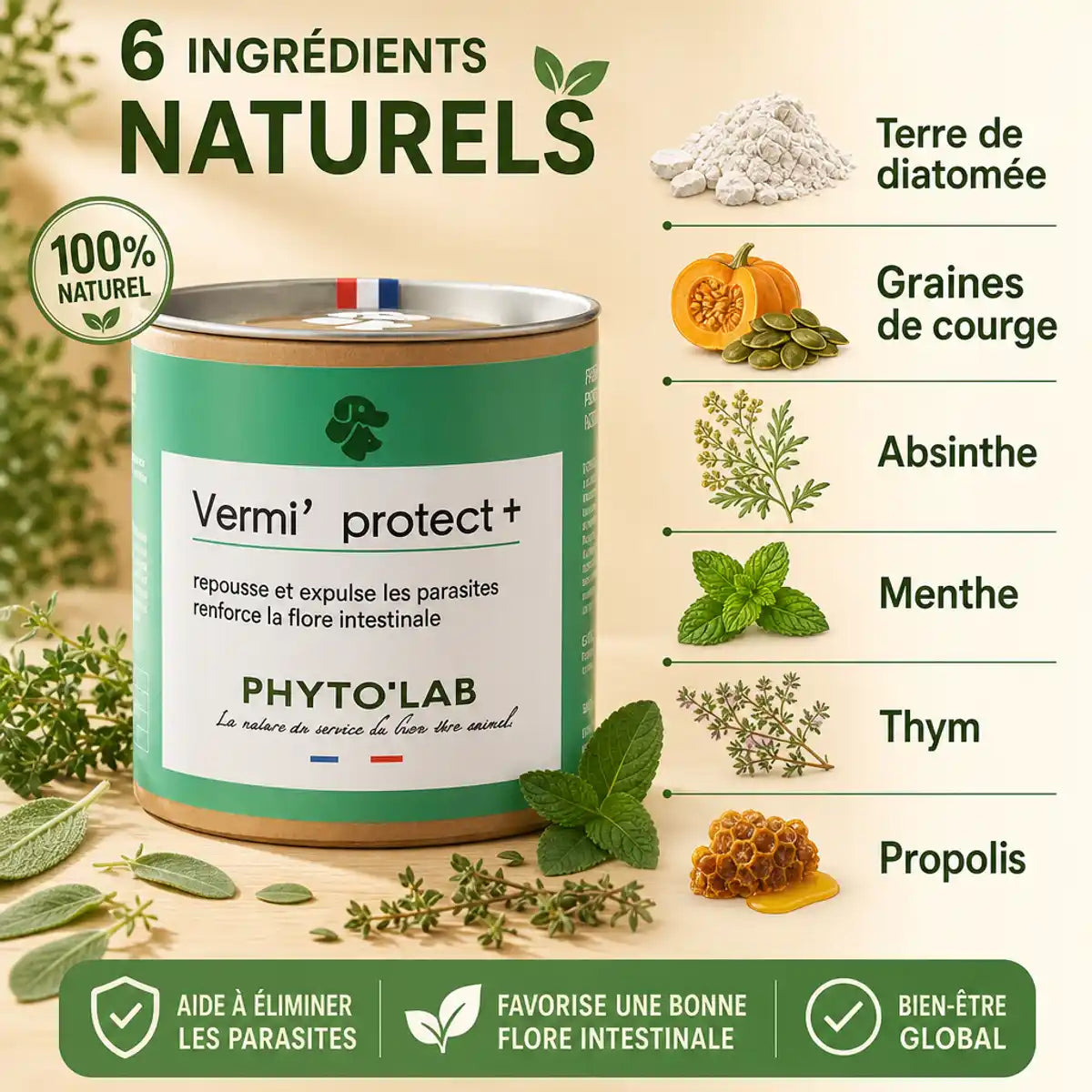 Vermi' Protect vermifuge naturel chien chat 90 gélules avec 6 ingrédients bio Phyto'Lab