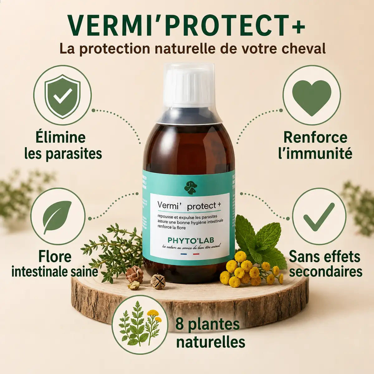 Vermi'Protect+ vermifuge liquide chien chat 200ml avec bénéfices naturels et plantes phyto'lab