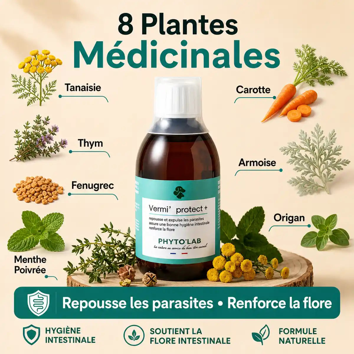 Vermi'Protect+ 200ml vermifuge liquide avec 8 plantes médicinales pour chien et chat