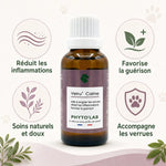 Verru' Calme Phyto'Lab traitement naturel verrues chien flacon bénéfices