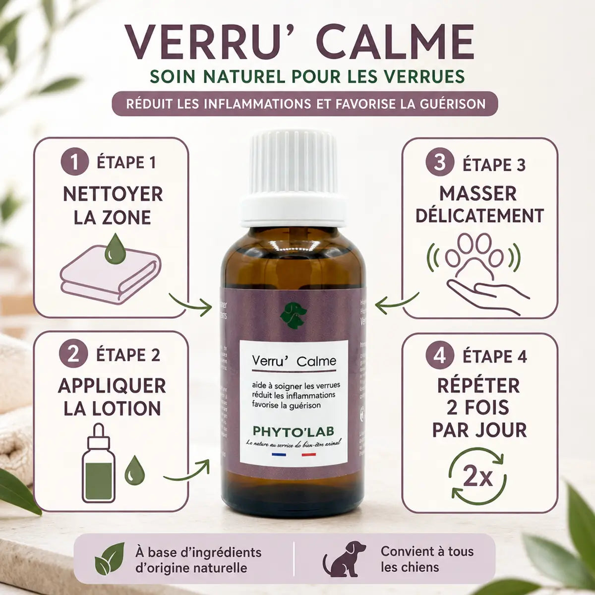 Verru' Calme Phyto'Lab traitement naturel verrues chien avec guide application 4 étapes