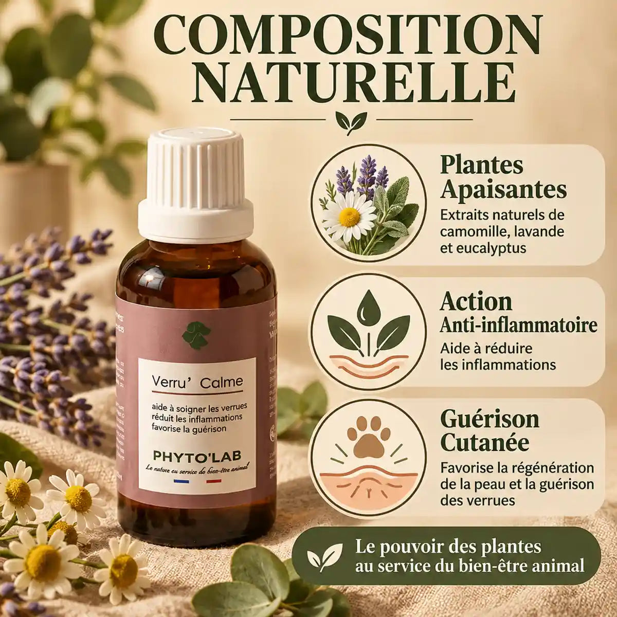 Verru' Calme traitement naturel verrues chien plantes apaisantes anti-inflammatoire