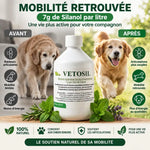 Vetosil supplément articulaire chien chat avant après mobilité retrouvée bouteille 500ml