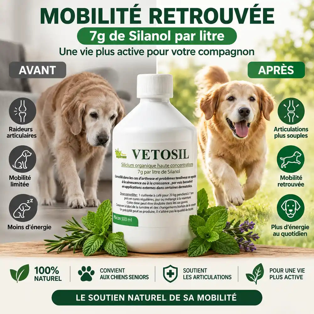 Vetosil supplément articulaire chien chat avant après mobilité retrouvée bouteille 500ml
