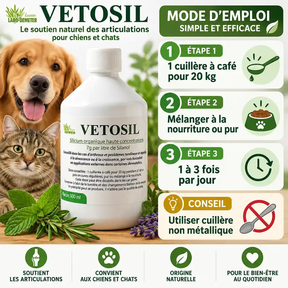 Vetosil supplément silicium arthrose chien chat dosage guide infographie Labo-Demeter