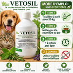 Vetosil supplément silicium arthrose chien chat dosage guide infographie Labo-Demeter